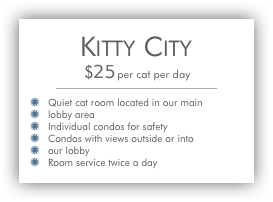 KittyCity